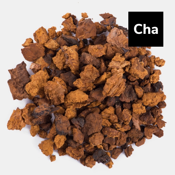 You are currently viewing Chaga: The Original Nutritious Superfood