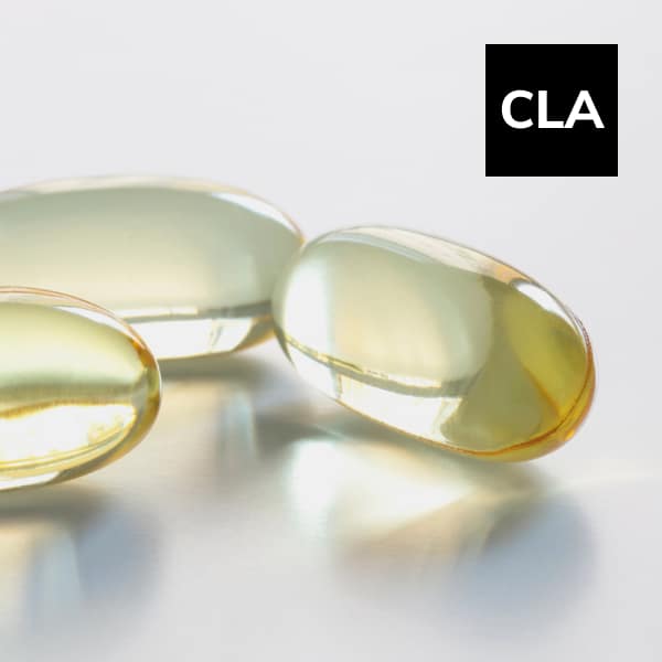 You are currently viewing Conjugated Linoleic Acids (CLA): A Polyunsaturated Omega-6 Fatty Acid