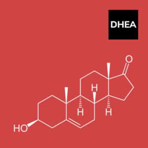 Read more about the article Dehydroepiandrosterone(DHEA)- Mother of All Hormones