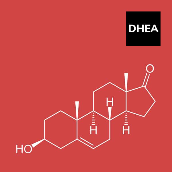 Read more about the article Dehydroepiandrosterone(DHEA)- Mother of All Hormones