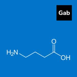 Read more about the article GABA – Neurotransmitter That Calms the Brain