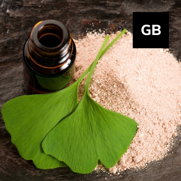 You are currently viewing Ginkgo Biloba : The Smart Nutrient