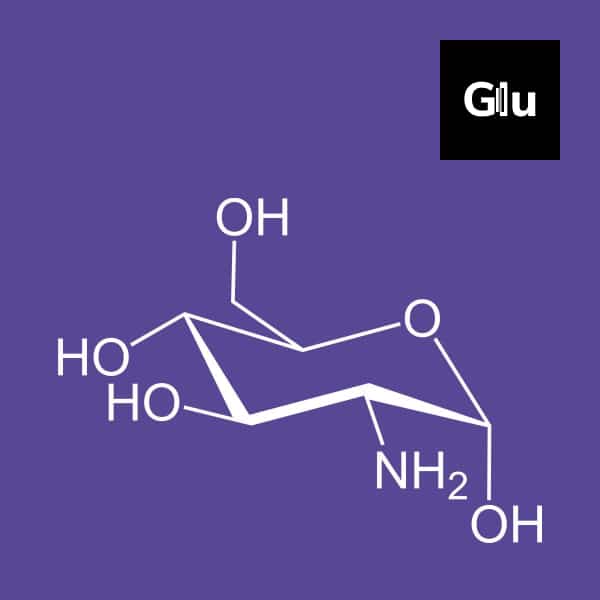 Read more about the article Glucosamine and Chondroitin Sulfate – Your Joint Health Tandem