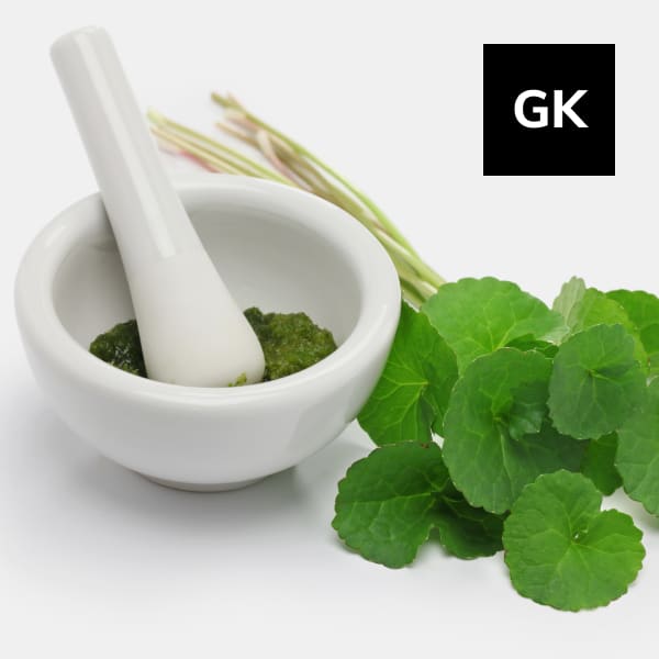 You are currently viewing Gotu Kola: Medicinal and Herbal Plant