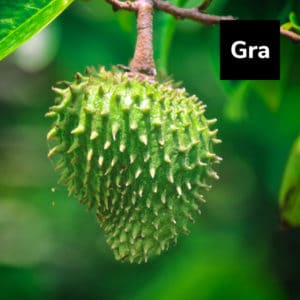 Read more about the article Graviola: An Anti-Inflammatory Tropical Fruit