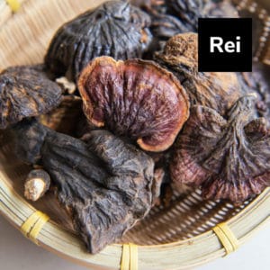 Read more about the article Reishi : Nature’s Strongest DNA and Cell Protector