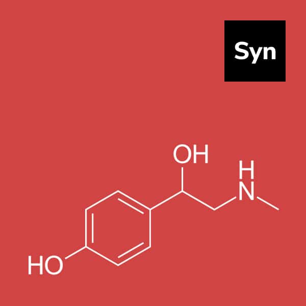 You are currently viewing Synephrine: Benefits and Precautions