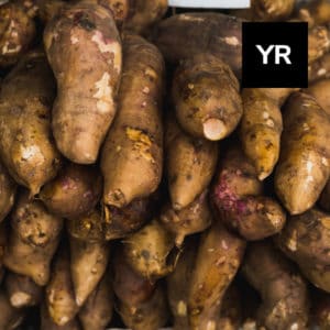 Read more about the article Yacon Root: Prebiotic and Natural Food Sweetener