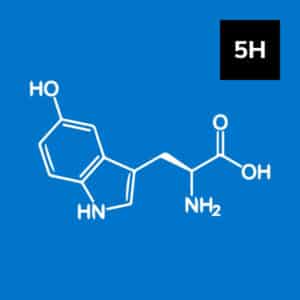 5-HTP serotonin-enhancing amino acid 