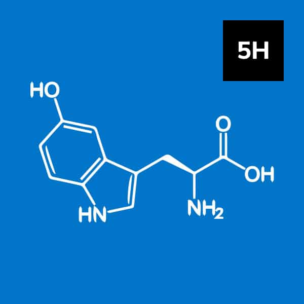 You are currently viewing 5-HTP: The Serotonin-Enhancing Amino Acid