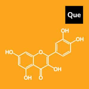 quercetin effective antihistamine flavonoid