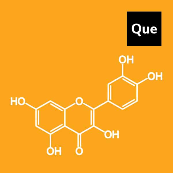 You are currently viewing Quercetin: A Powerful Natural Antihistamine