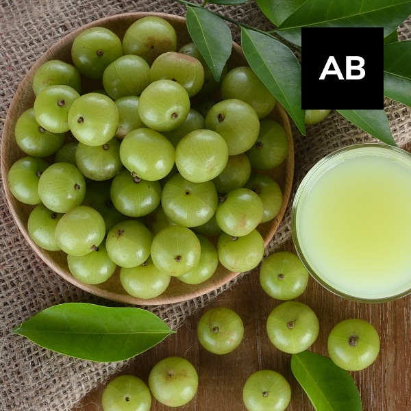 You are currently viewing Amla Berry: An Ayurvedic Wonder